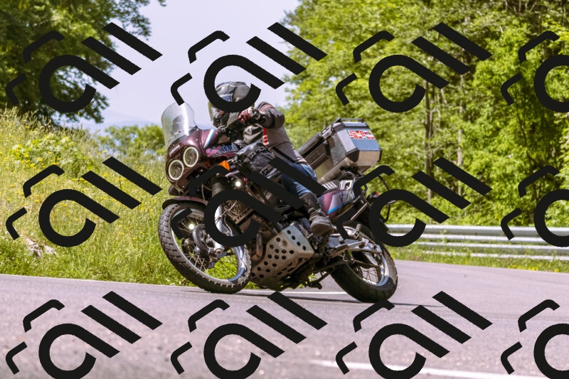 202506071126-_DSC7336_d1_