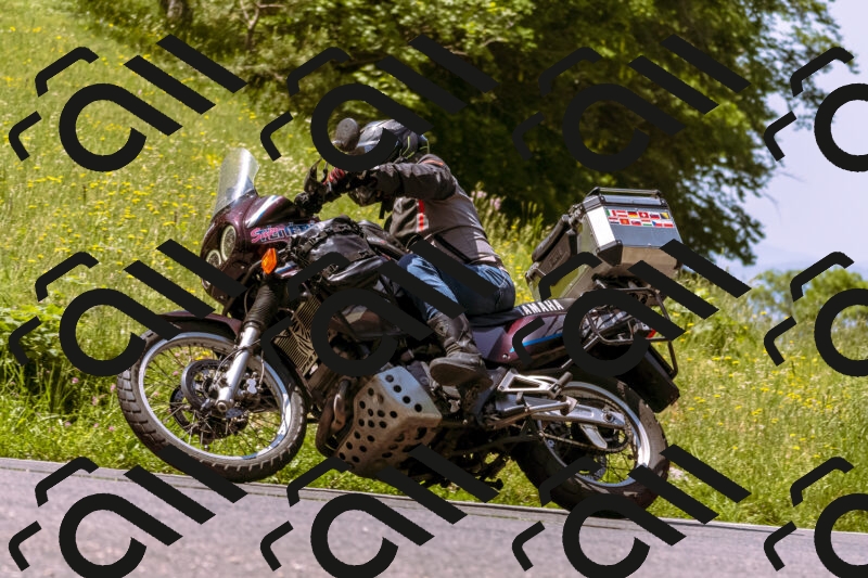 202506071126-_DSC7337_d1_