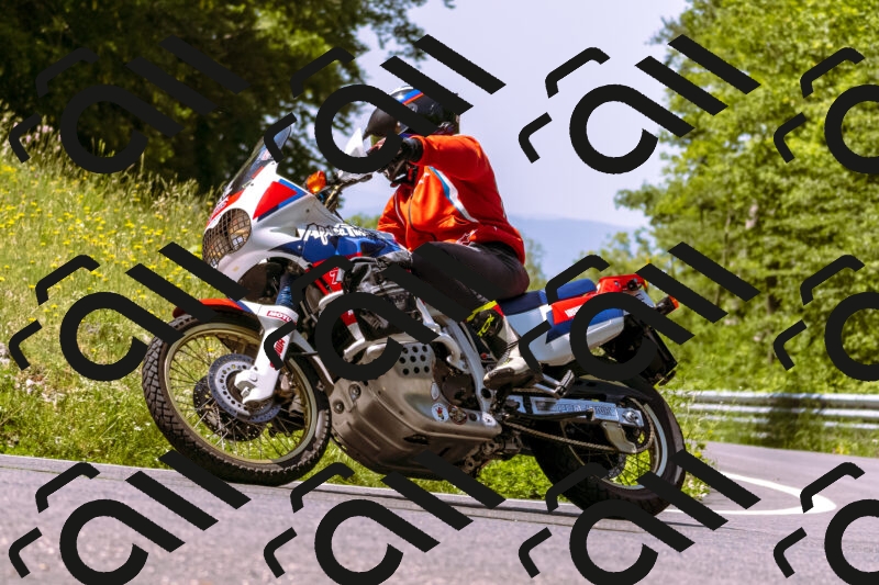 202506071126-_DSC7343_d1_