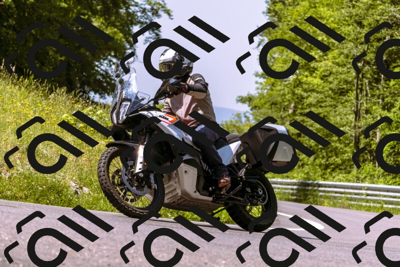 202506071126-_DSC7344_d1_