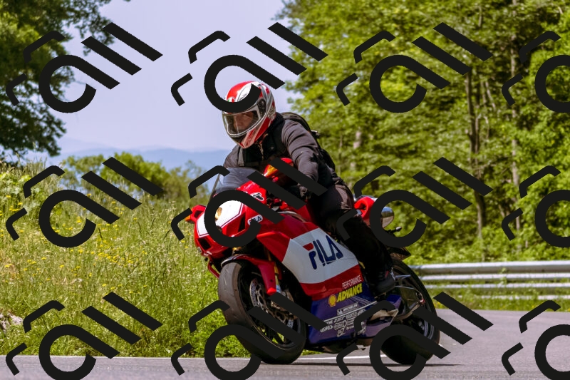 202506071128-_DSC7347_d1_