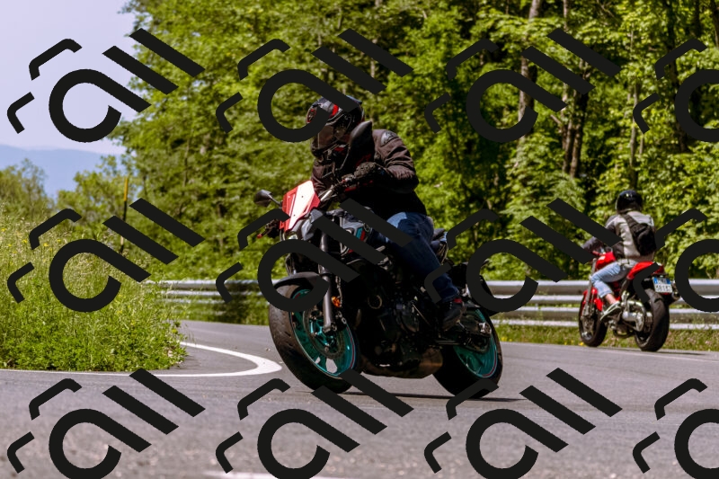 202506071129-_DSC7357_d1_