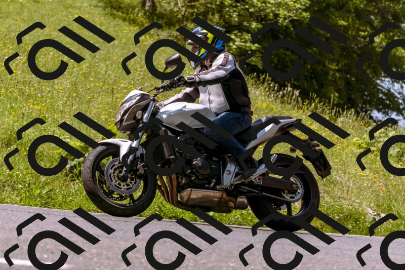 202506071129-_DSC7361_d1_