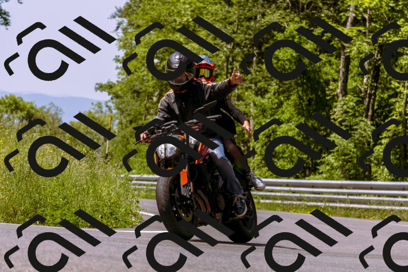 202506071130-_DSC7371_d1_