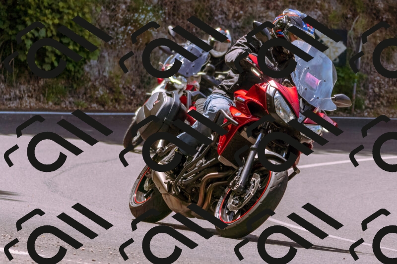 202506071140-_DSC7390_d1_