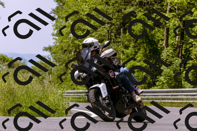 202506071142-_DSC7399_d1_