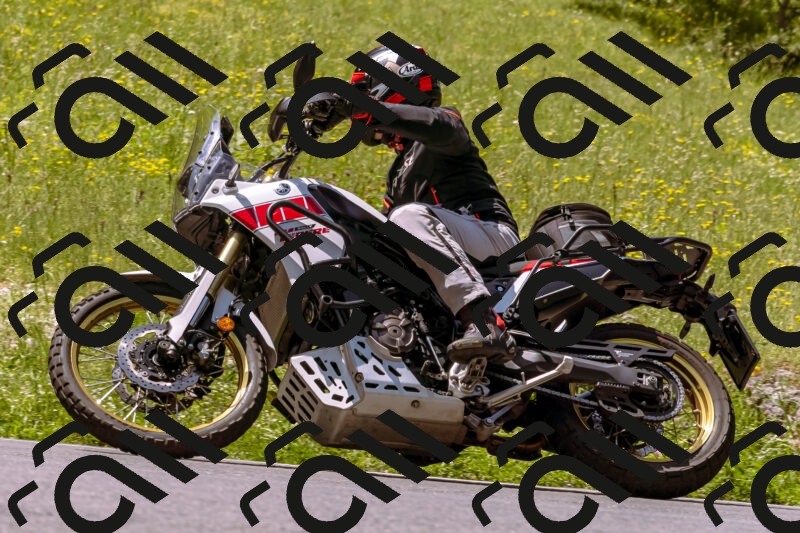 202506071146-_DSC7411_d1_