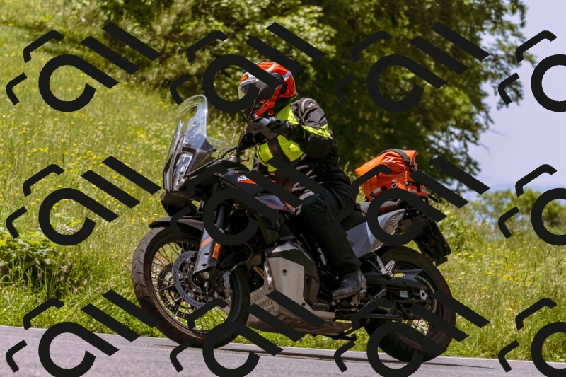 202506071146-_DSC7414_d1_