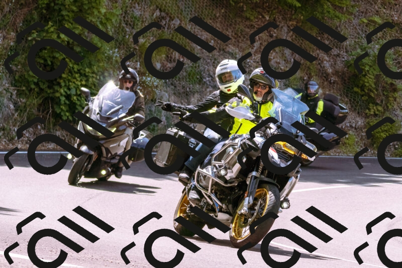 202506071146-_DSC7416_d1_