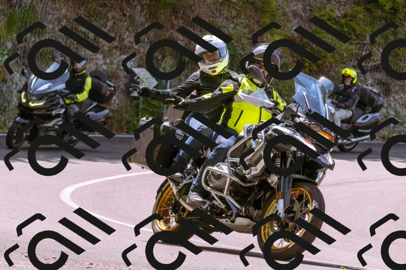 202506071146-_DSC7417_d1_