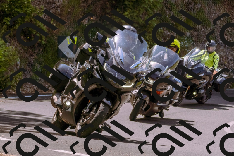 202506071146-_DSC7420_d1_