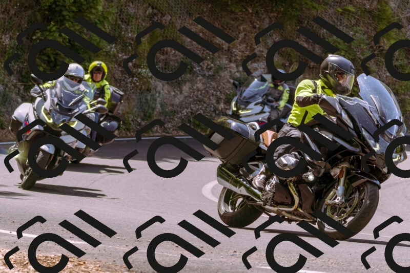 202506071146-_DSC7424_d1_