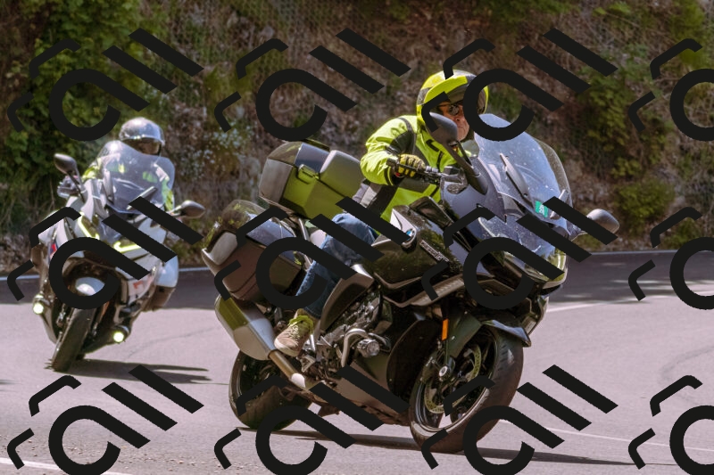 202506071146-_DSC7428_d1_