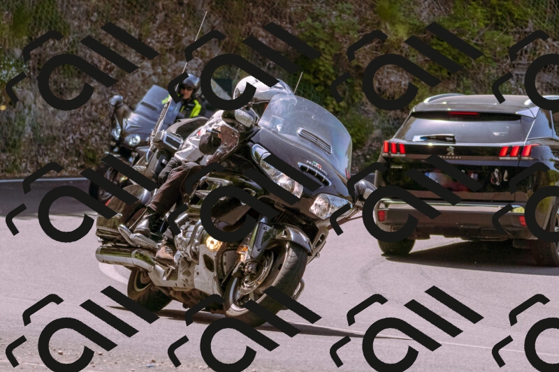 202506071146-_DSC7437_d1_