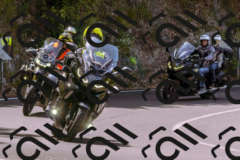 202506071146-_DSC7442_d1_