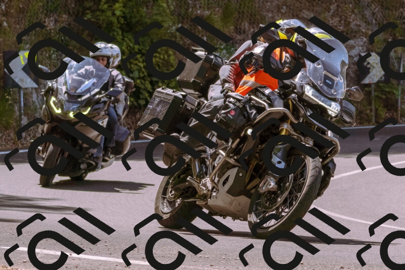 202506071146-_DSC7445_d1_