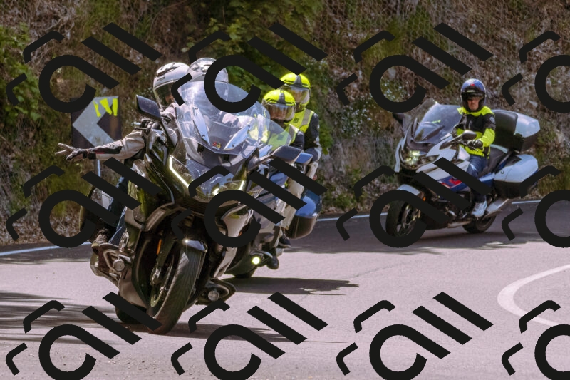 202506071146-_DSC7447_d1_