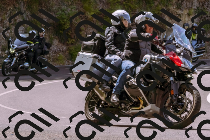 202506071146-_DSC7455_d1_