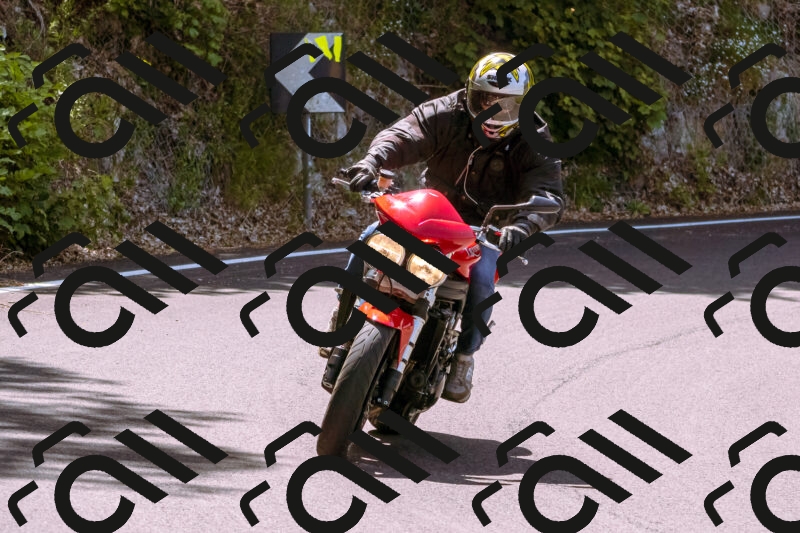 202506071149-_DSC7472_d1_