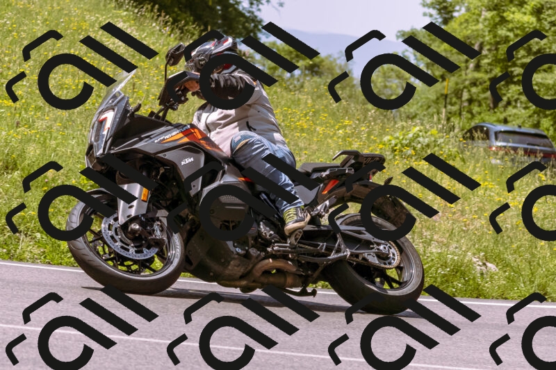 202506071150-_DSC7474_d1_