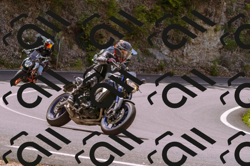 202506071151-_DSC7476_d1_