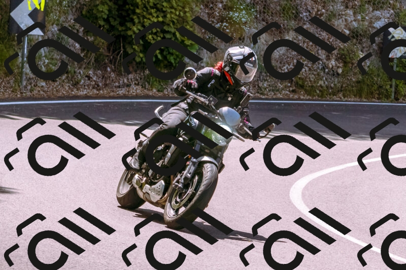 202506071152-_DSC7488_d1_