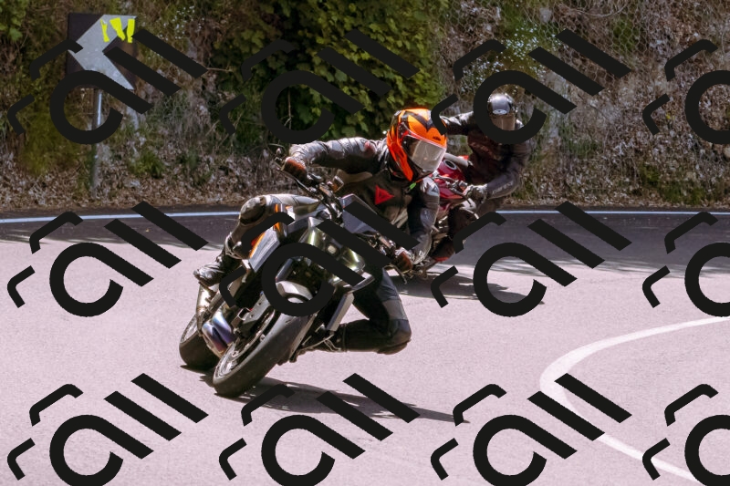 202506071155-_DSC7497_d1_