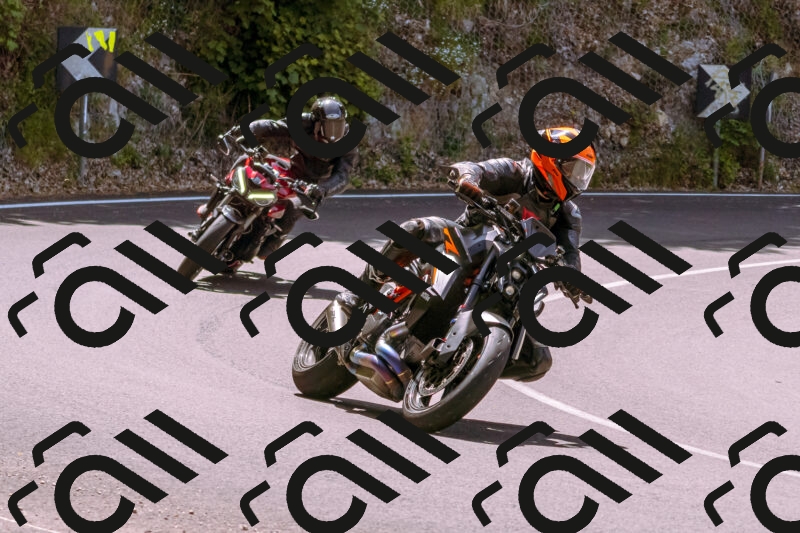 202506071155-_DSC7498_d1_