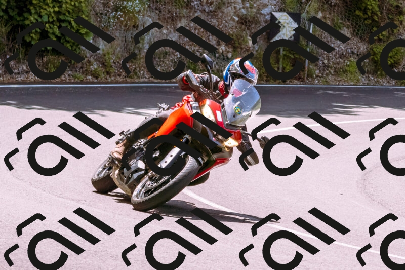 202506071156-_DSC7505_d1_