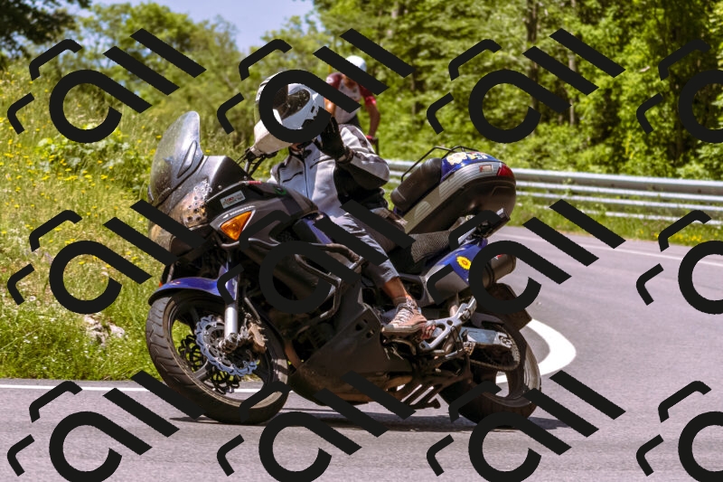 202506071159-_DSC7515_d1_