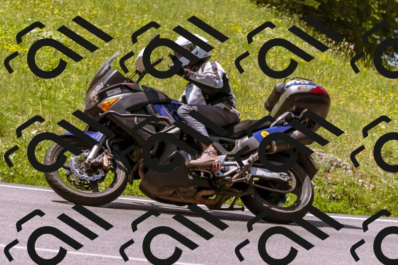 202506071159-_DSC7516_d1_