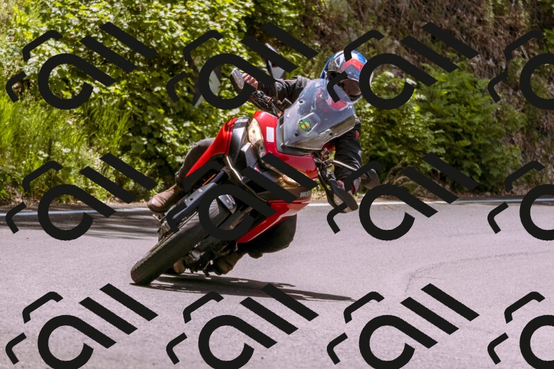 202506071200-_DSC7526_d1_