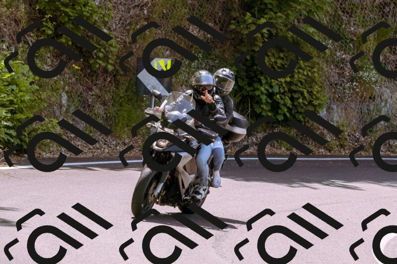 202506071203-_DSC7528_d1_