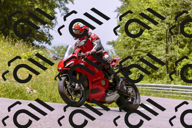 202506071204-_DSC7536_d1_