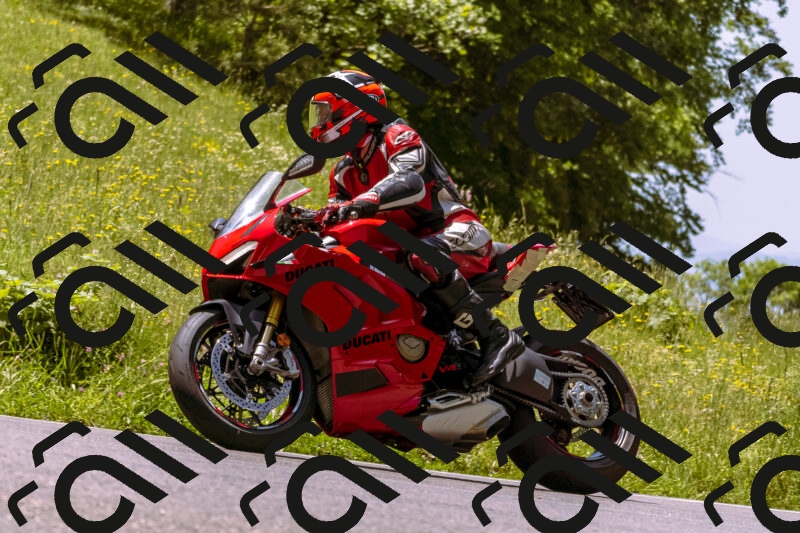 202506071204-_DSC7537_d1_