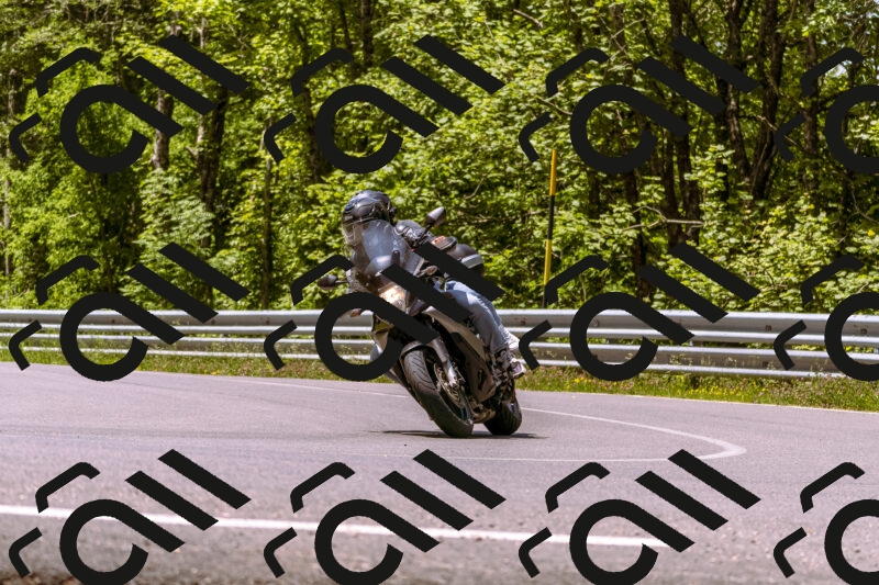 202506071205-_DSC7545_d1_