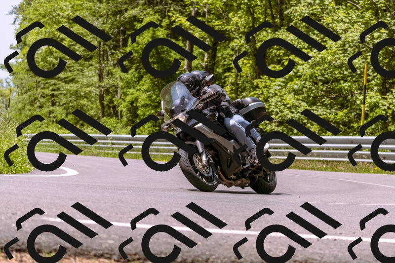 202506071205-_DSC7546_d1_