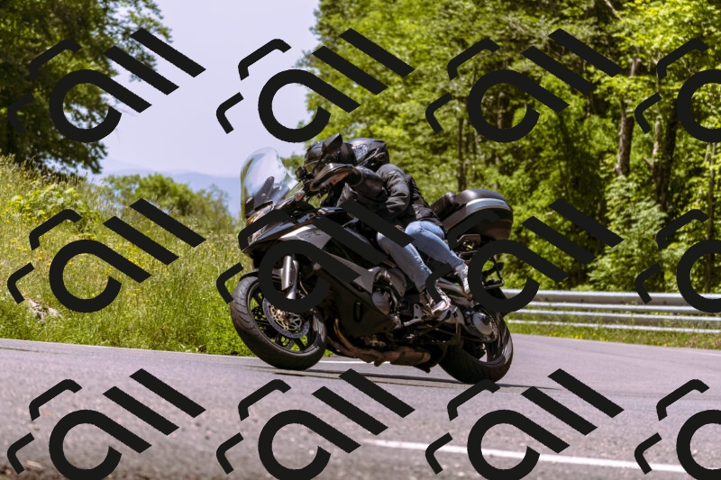 202506071205-_DSC7547_d1_