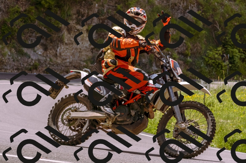 202506071207-_DSC7556_d1_