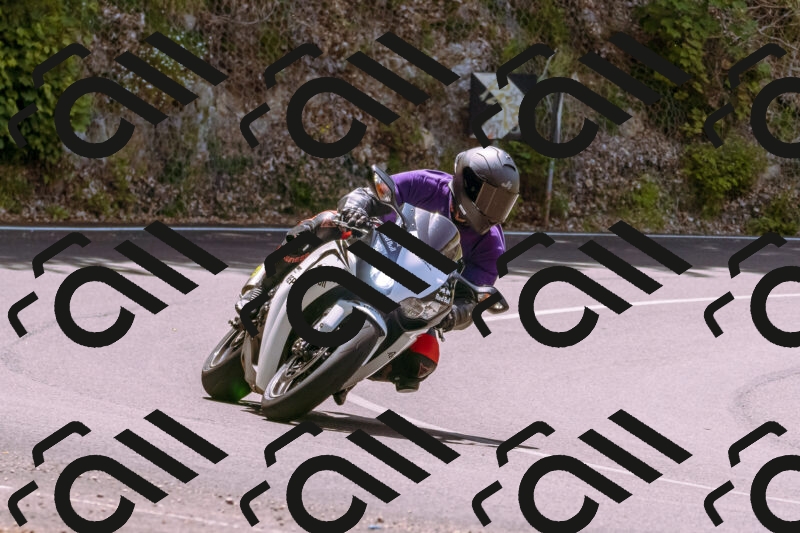 202506071211-_DSC7560_d1_