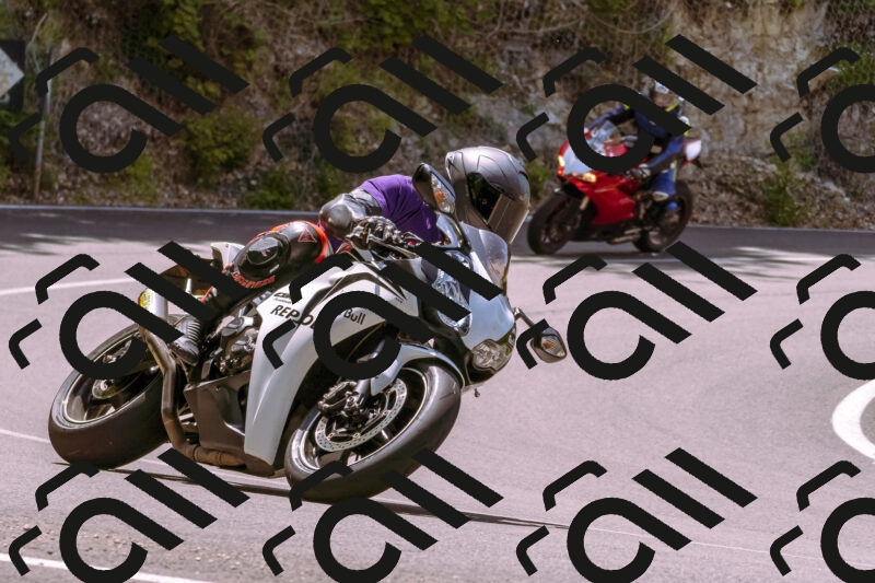 202506071211-_DSC7561_d1_