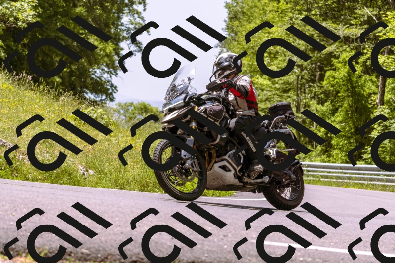 202506071212-_DSC7573_d1_