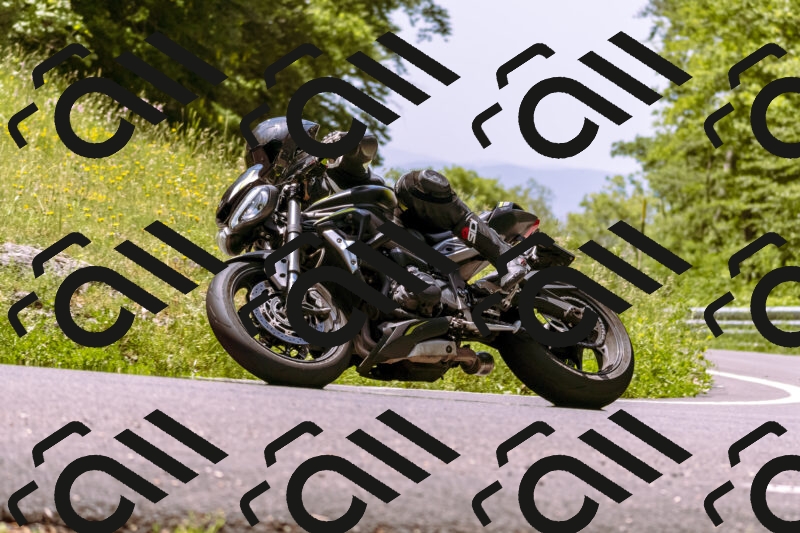 202506071219-_DSC7578_d1_