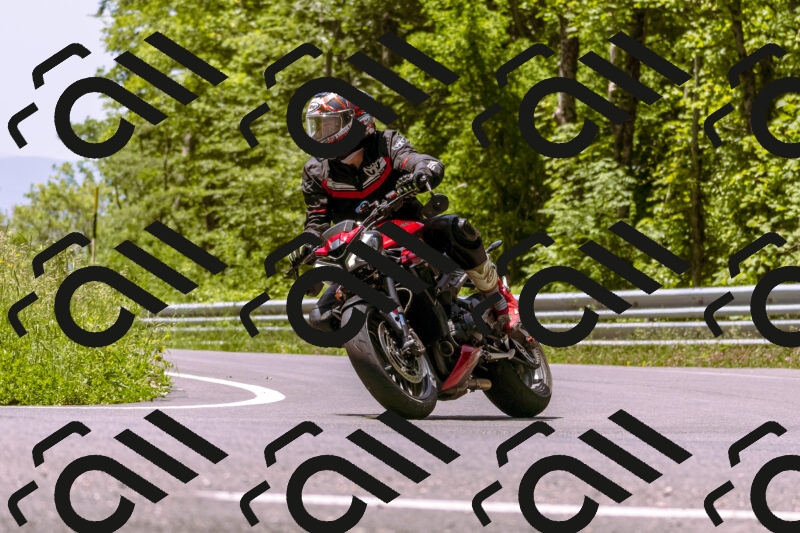 202506071219-_DSC7581_d1_