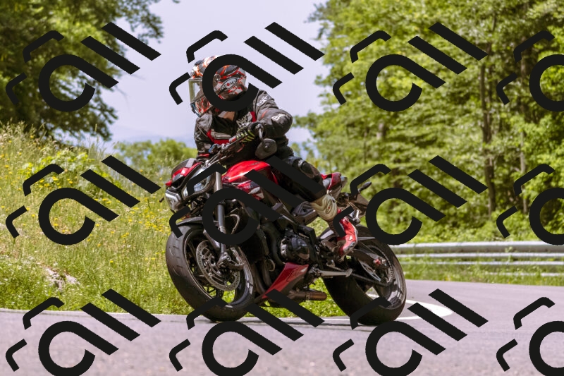 202506071219-_DSC7582_d1_