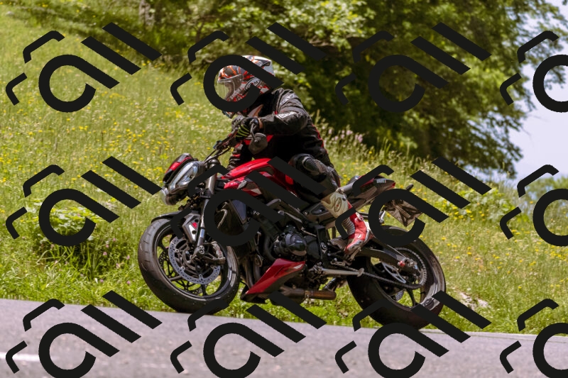 202506071219-_DSC7583_d1_