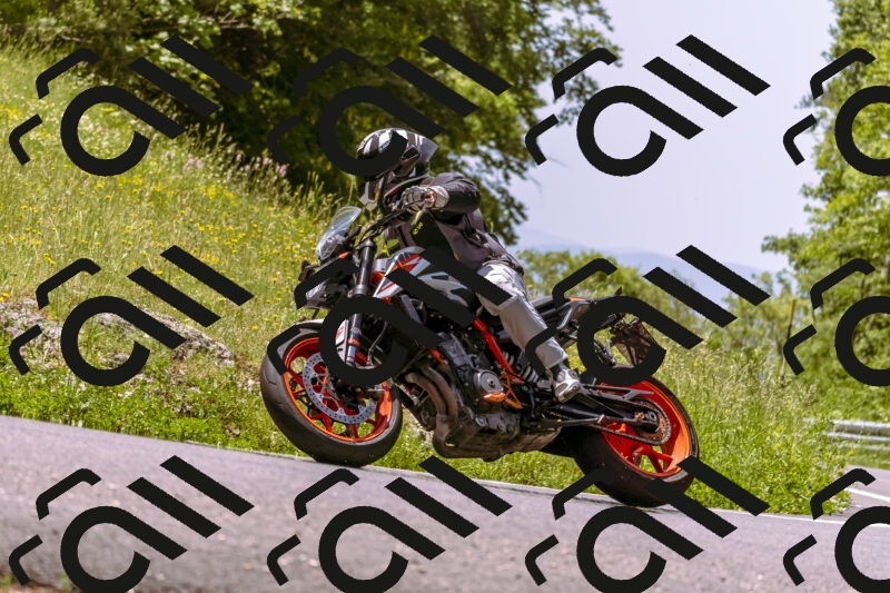 202506071220-_DSC7593_d1_