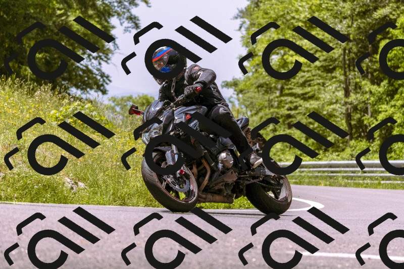 202506071223-_DSC7618_d1_