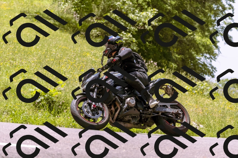 202506071223-_DSC7619_d1_