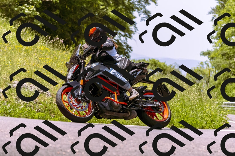 202506071223-_DSC7623_d1_